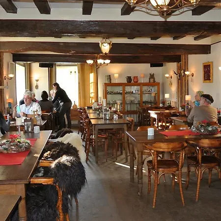 Kasteel Schaloen - &